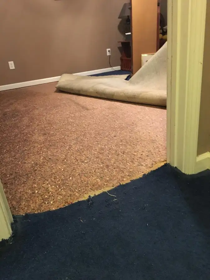 Carpet pad removal revealing water damage during Water Mitigation Services in West Bridgewater