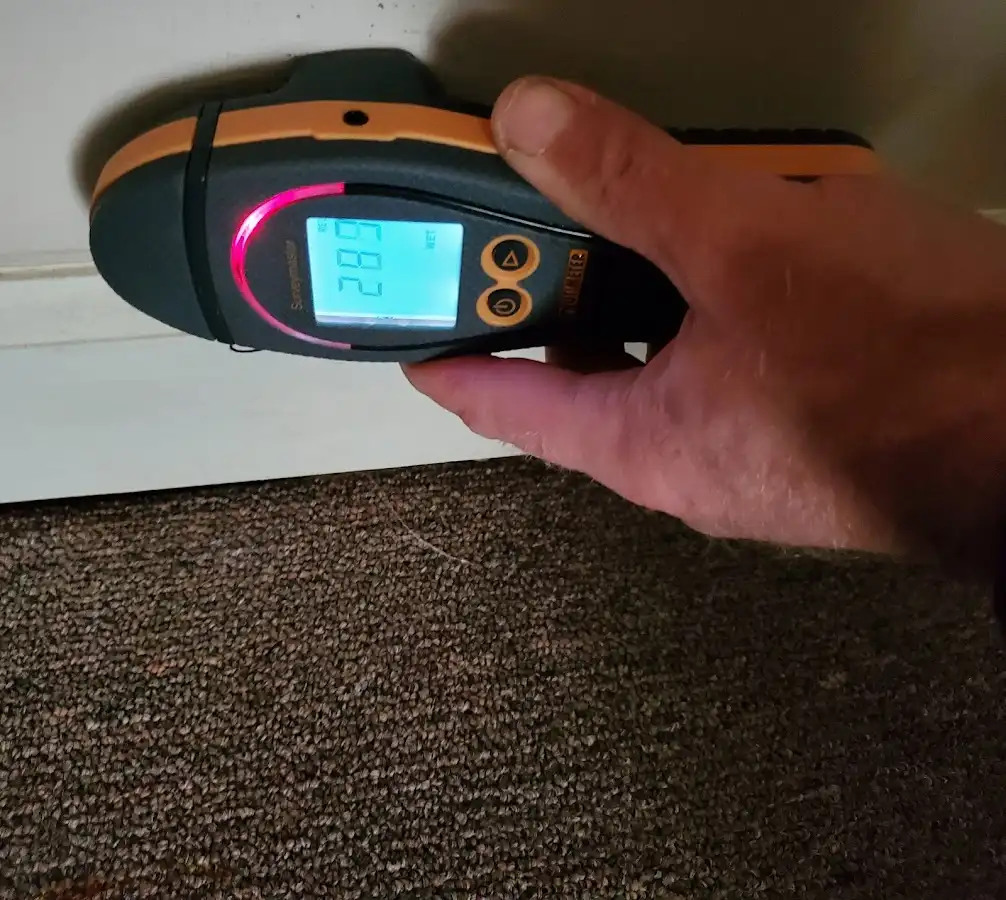 Moisture detection at baseboard during Sewage Cleanup & Sanitation in West Bridgewater